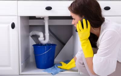 Non-Invasive Leak Detection & how it can Benefit You